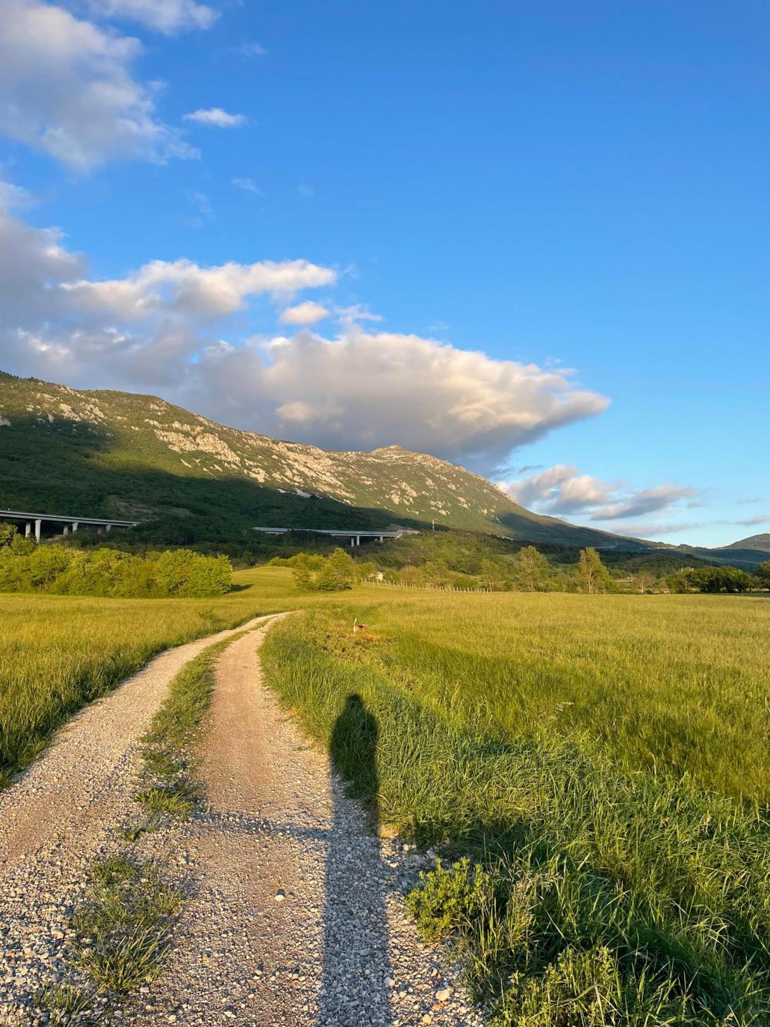 Homestead - Domacija - Nabergoj Podnanos Exteriör bild