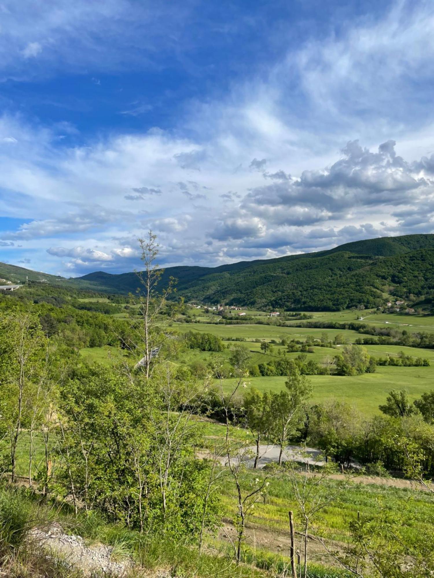 Homestead - Domacija - Nabergoj Podnanos Exteriör bild